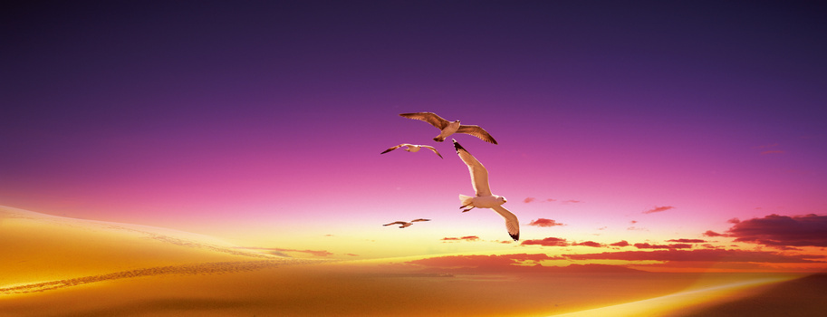 首页 - 夏雨网络社区